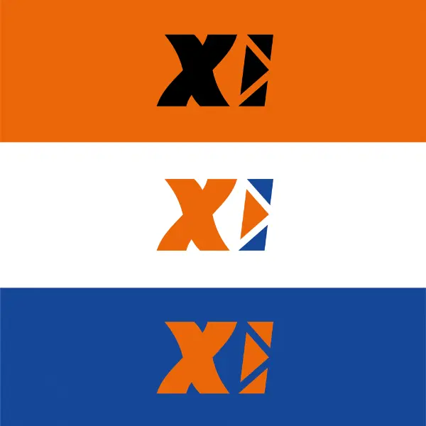 FlexID logo semplificato