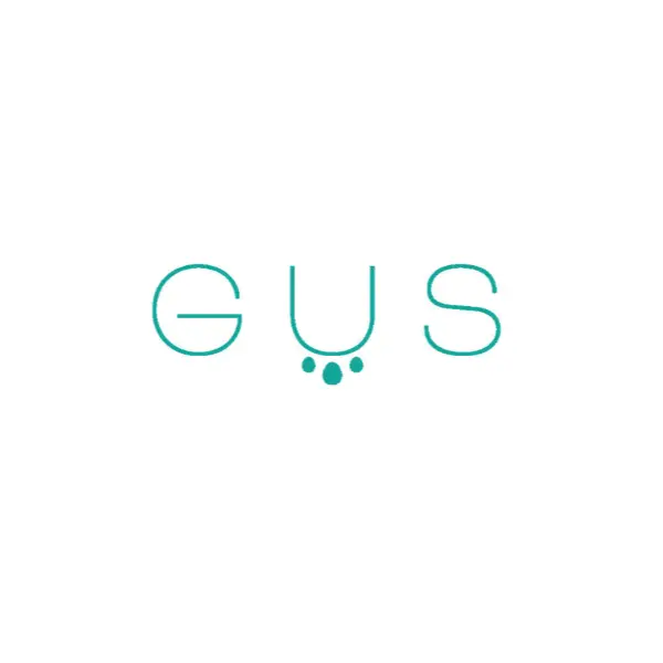 Logo semplificato Gussini